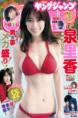 乡村爱情3